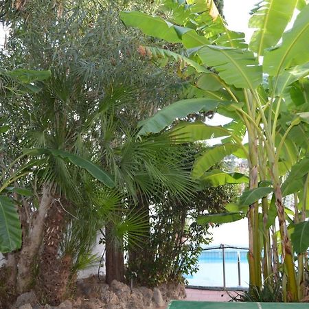 Il Kent Apartment Ischia Exterior foto
