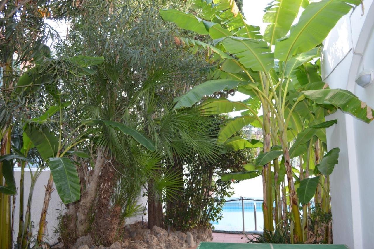 Il Kent Apartment Ischia Exterior foto